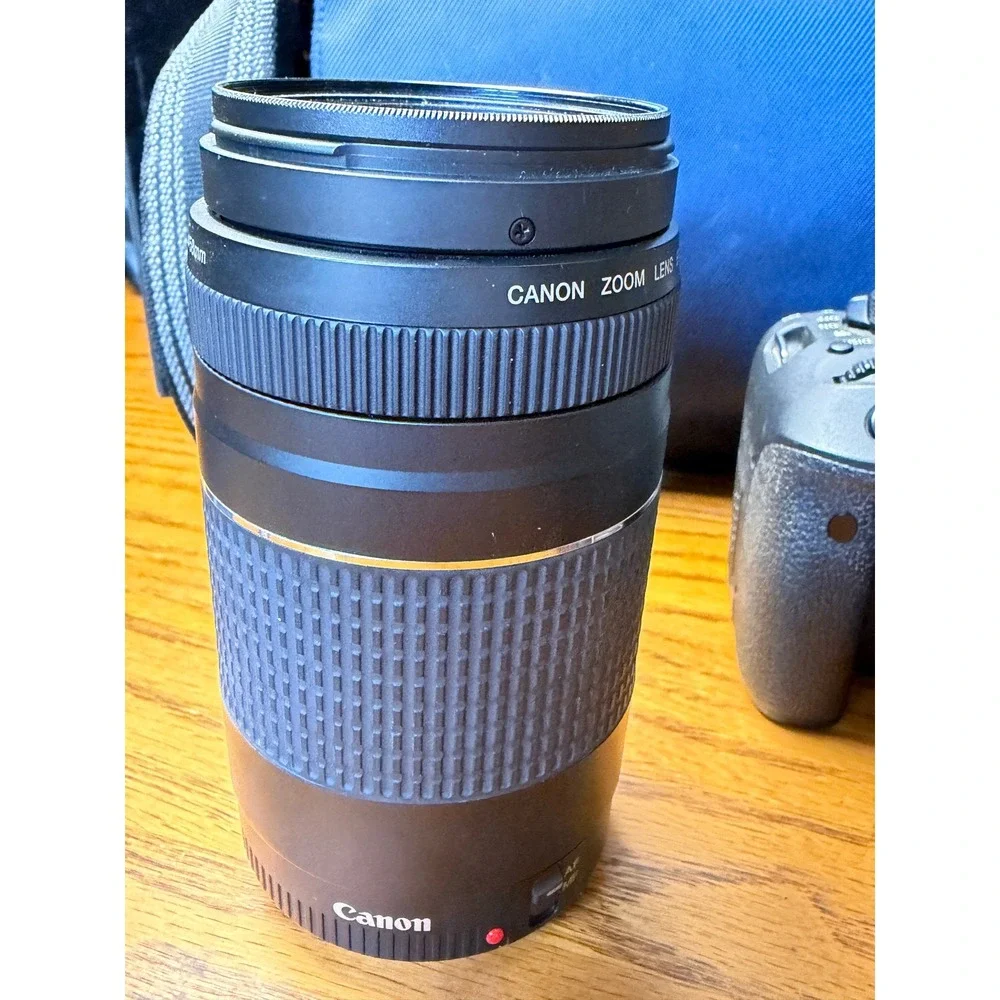 Canon EOS Rebel T6i DSLR Camera Bundle: 18-55mm & 75-300mm Lenses